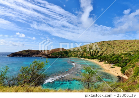 Holidays in Hawaii 25306139