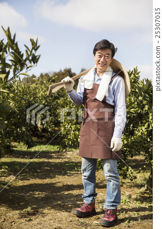 Middleaged Asian Farmer Smiling on Field Middleaged Asian Farmer Smiling on Field 25307015