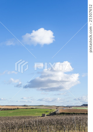 Cloud-frowning blue sky Under the meadowland and country farmland spreading field 25307652