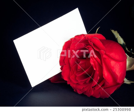 red rose and blank gift card for text on black background 25308998