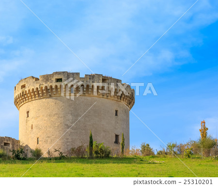 ruins of medieval old tower of castle under blue sky with cloud ruins of medieval old tower of castle under blue sky with cloud 25310201