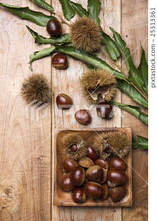 Autumn Atmosphere Objects 25313361