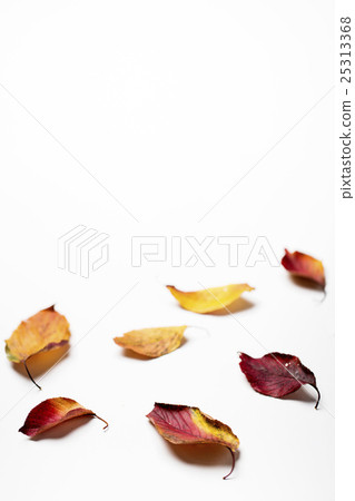 Autumn Atmosphere Objects Autumn Atmosphere Objects 25313368