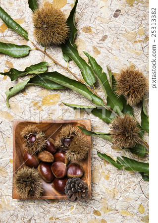 Autumn Atmosphere Objects 25313382