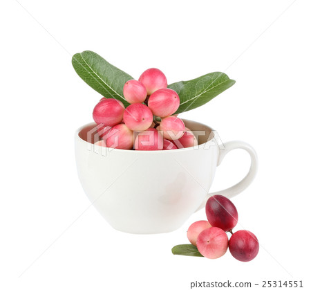 Karonda or Carunda Fruits, Tropical Fruits 25314551