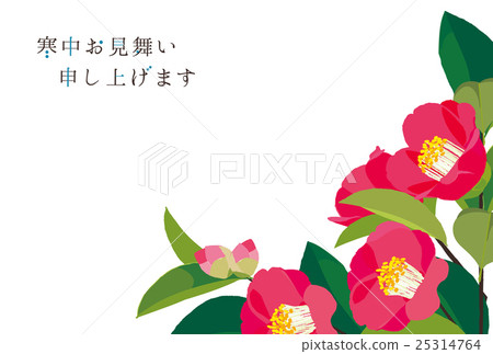 山茶花山茶花 25314764