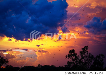 Amazing Sunset. 25315451