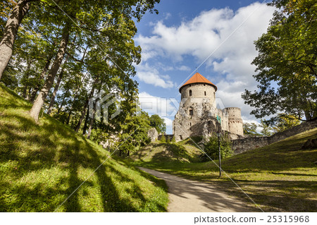 Ruins of Cesis Castle, Latvia 25315968