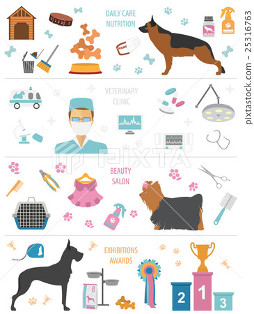 Dog info graphic template. Heatlh care, vet 25316763