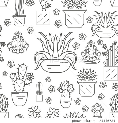 Cactuses and succulents seamless pattern 25316784