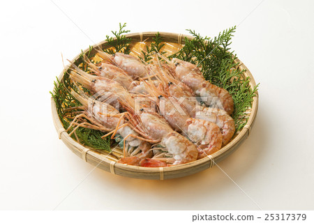 北海道按鈕蝦 北海道按鈕蝦 25317379