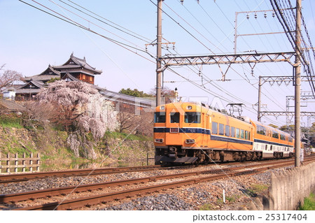 Cherry blossoms in Koriyama castle race (Yamatokoriyama city, Nara prefecture) Kintetsu Express train runs 25317404