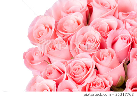 pink rose flower bouquet on white background 25317768