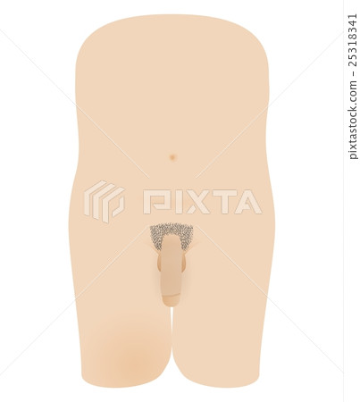 naked male body with penis 25318341