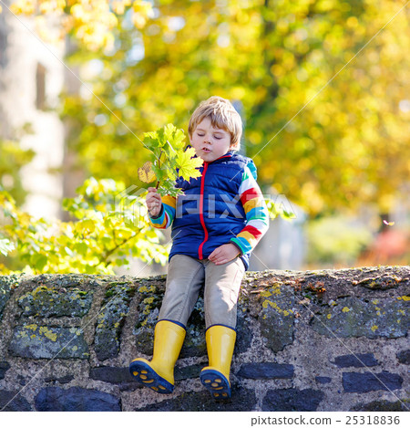 little blond kid playing with yellow leaves in little blond kid playing with yellow leaves in 25318836