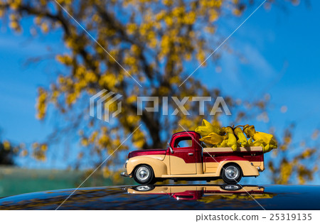Kowhai Flowers Load Kowhai Flowers Load 25319135