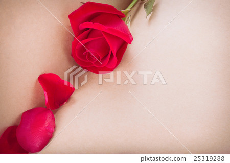 red rose flower on blank paper page for creative 25319288