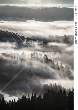 新潟縣長岡市Yamakoshi雲海的大海和陽光的里山 25319418