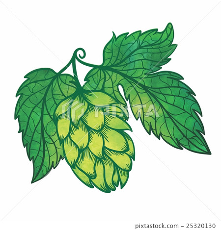 Vector Hops Icon 25320130