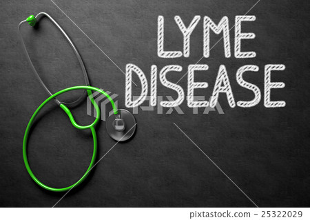 Lyme Disease Handwritten on Chalkboard. 3D 25322029