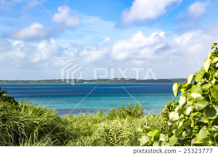 Sea view Sea view 25323777