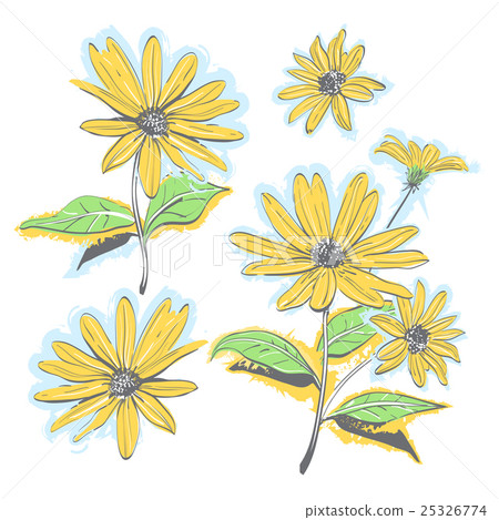 Hand-drawn chamomiles, daisies. Autumn flowers 25326774