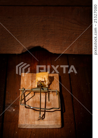 charged mousetrap cheese 25327080