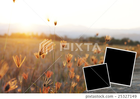 Blank frame and background picture Blank frame and background picture 25327149