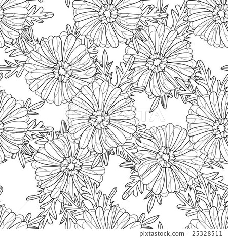Seamless aster pattern 25328511
