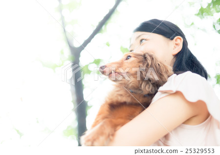 pet, pets, pet dog 25329553