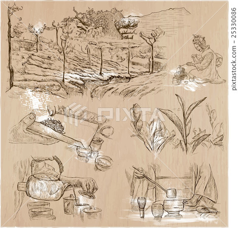 Tea Processing. Agriculture. An hand drawn vector. Tea Processing. Agriculture. An hand drawn vector. 25330086