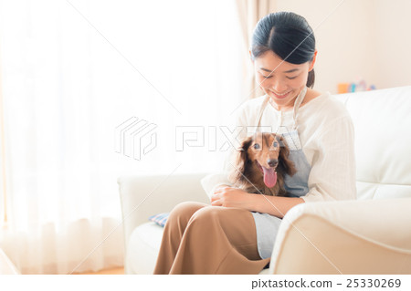 dog, dogs, person 25330269