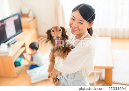 dog, dogs, person 25331694