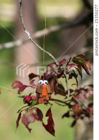 Minoru mascot 25350277