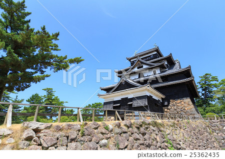 國家寶藏松江城堡 - 又名：千鳥城 -  25362435