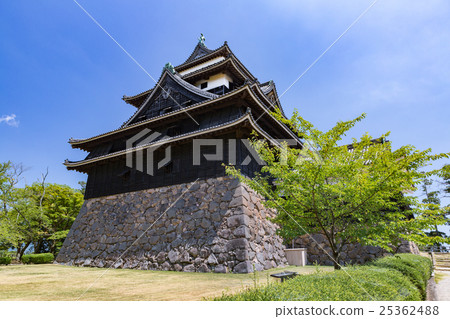 National Treasure Matsue Castle - aka: Chidori Castle - 25362488