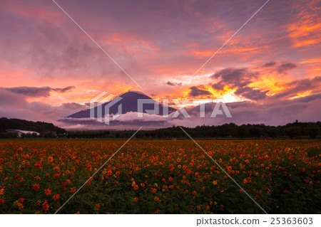 Fuji at dusk of autumn 25363603