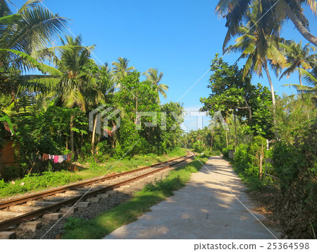 Railway in palm trees forest, Weligama, Sri Lanka 25364598