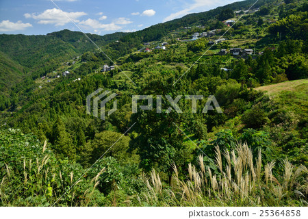 德島縣美津郡鶴見町Niba Nogaoka(10月) 德島縣美津郡鶴見町Niba Nogaoka(10月) 25364858