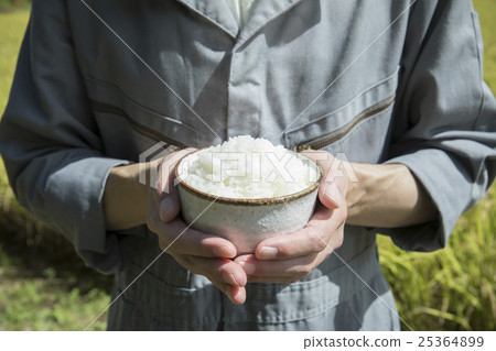 稻農與米飯 稻農與米飯 25364899
