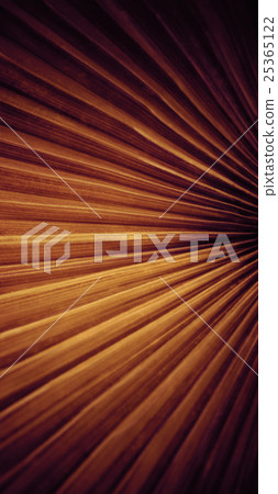Abstract palm leaf artwork 25365122