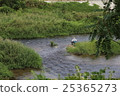 An old man fishing in the river 25365273