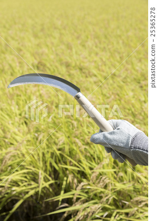 Image of agriculture 25365278