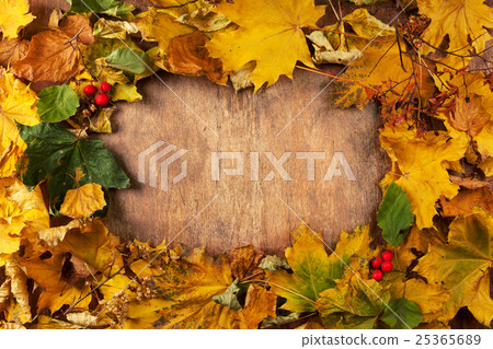 frame of autumn leaves 25365689