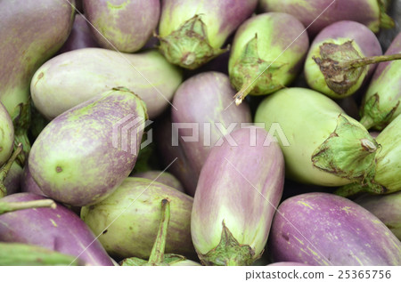 Raw ripe Eggplant 25365756