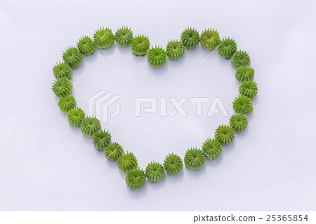 Abstract soft focus of Country mallow, Indian mall 25365854