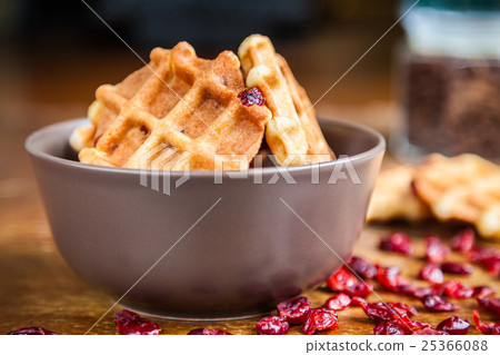 Waffles With Dried Cranberries Waffles With Dried Cranberries 25366088