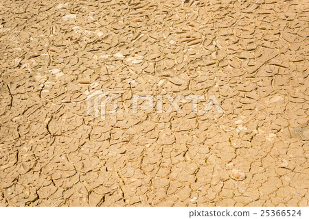 cracked soil background 25366524