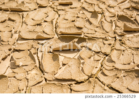 cracked soil background 25366529