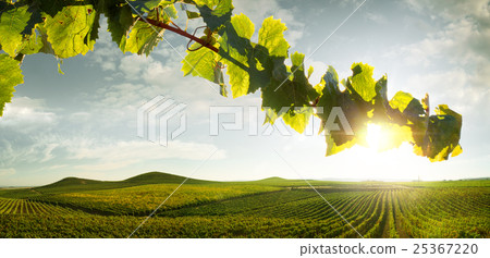 countryside 25367220